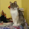 Отзыв от Татьяна Скворцова